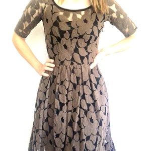 Anthropologie brown and black floral mesh a-line dress size XS